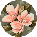 Natasha Trivedi profile picture